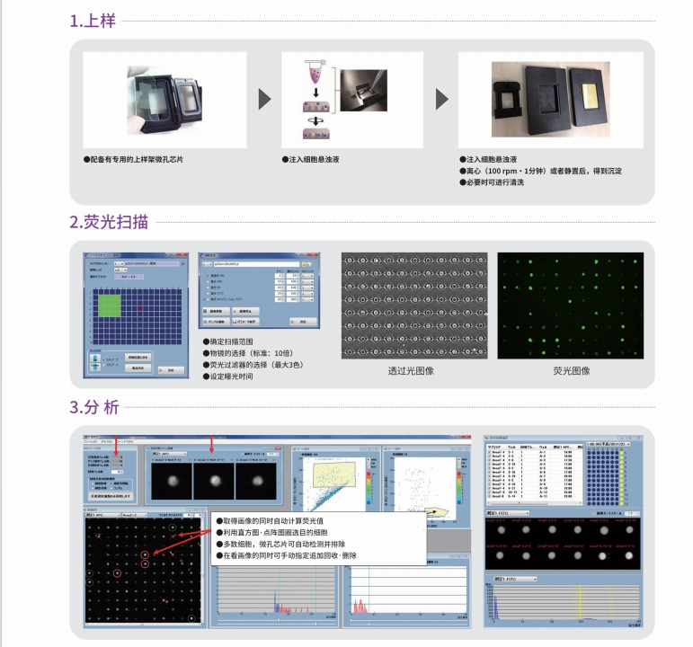 单细胞分析详1.png