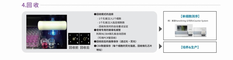 单细胞分析详2.png