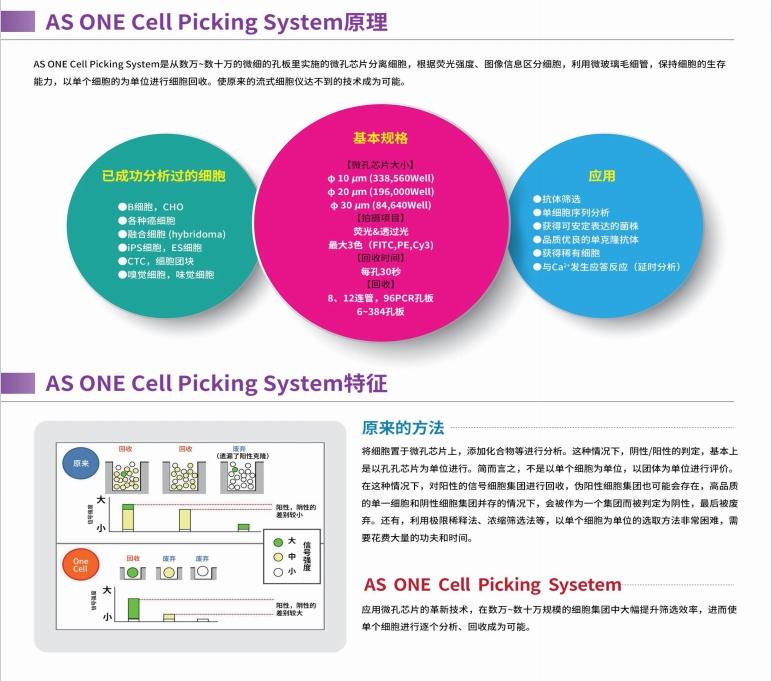 单细胞分析详3.png